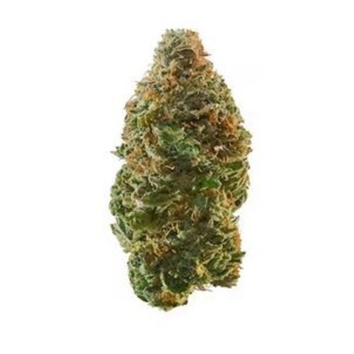 LUNA CBD Luna Weekend+ TRAINWRECK, THCA Flower, 3.5oz LUNA CBD Luna Weekend+ TRAINWRECK, THCA Flower, 3.5oz