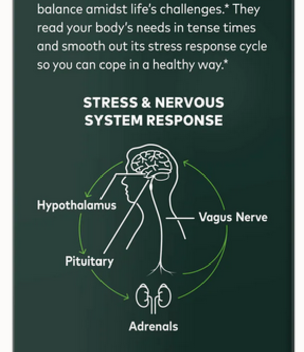 Gaia Holy Basil Leaf, 60cp