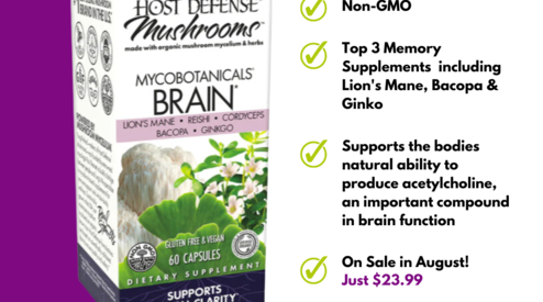 Unlocking Your Memory Potential: Strategies for Improving Memory and Mental Clarity