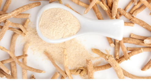 The Power of Adaptogens