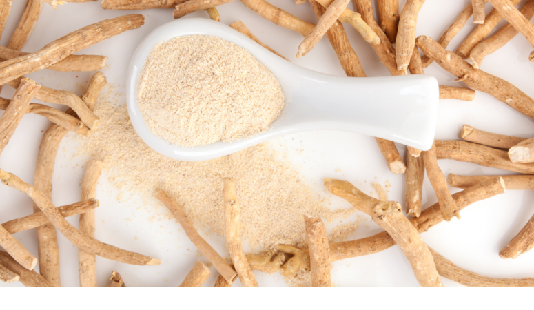 The Power of Adaptogens