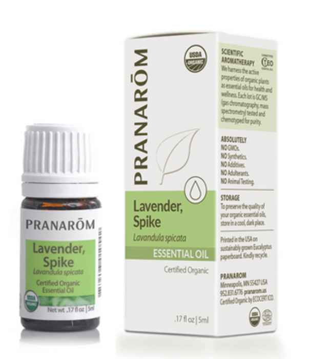Pranarom Organic Lavender Spike Oil, 5ml.