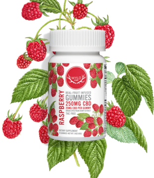 Wyld CBD Gummies 250mg, Raspberry, 10ct