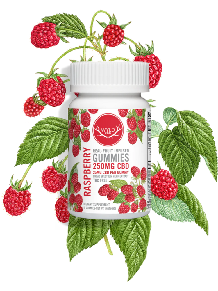 WYLD Wyld CBD Gummies 250mg, Raspberry, 10ct