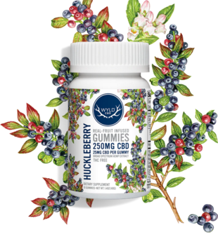 Wyld CBD Gummies 250mg, Huckleberry, 10ct