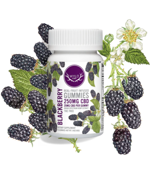 Wyld CBD Gummies 250mg, Blackberry, 10ct
