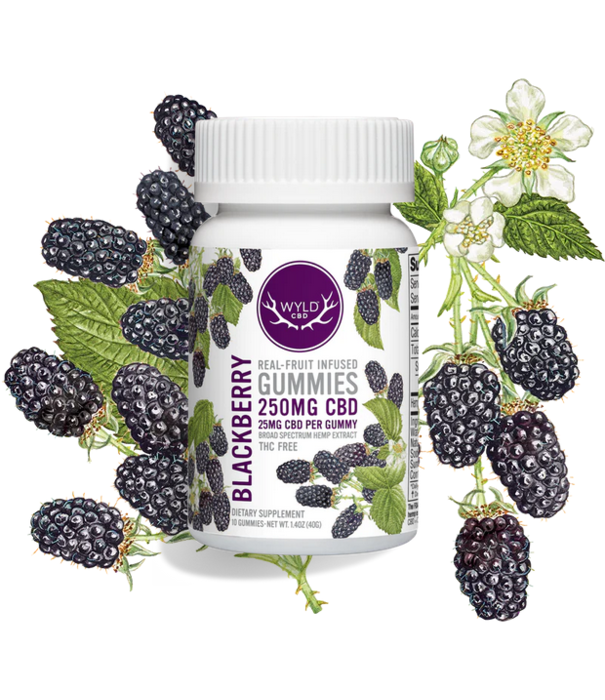 WYLD Wyld CBD Gummies 250mg, Blackberry, 10ct