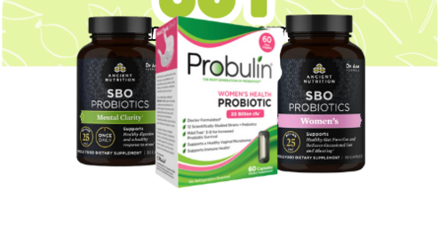 Gut 101: Your Crash Course to Navigating Gut Health