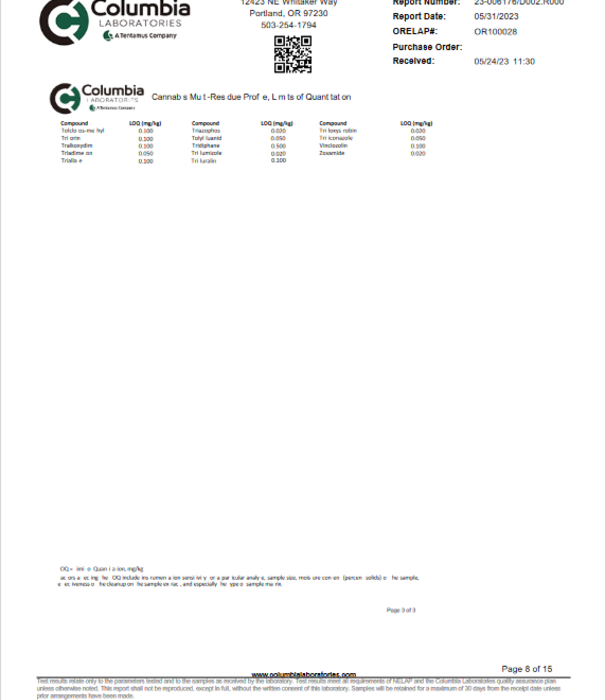 WYLD Wyld CBD Gummies 500mg, Blackberry, 20ct