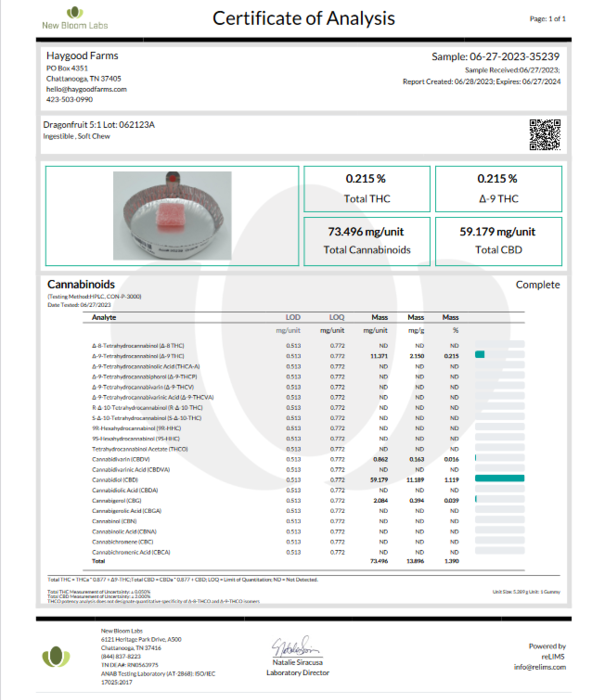 Haygood D9 Gummies, Dragonfruit Sorbet, 15ct