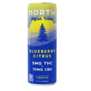 North Higher Vibes THC 5mg Blueberry Citrus, 12oz