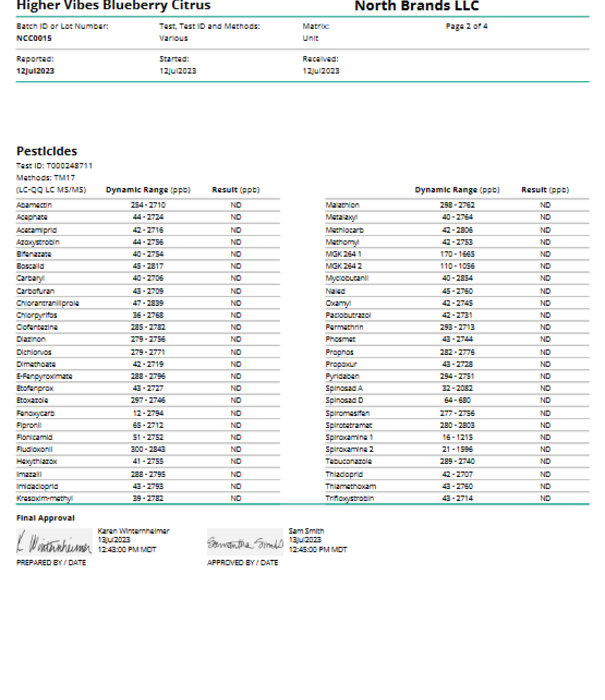 North Higher Vibes THC 5mg Blueberry Citrus, 12oz