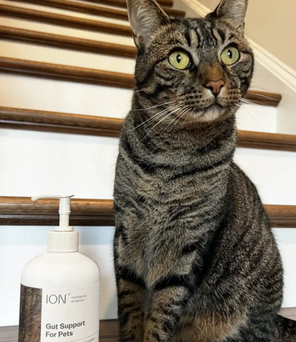 Ion Biome (formerly Restore) Mineral Supplement, Pet, 8oz. DISCO