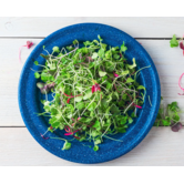 Alo Farms , Organic Rainbow Microgreens, each LOCAL 2oz