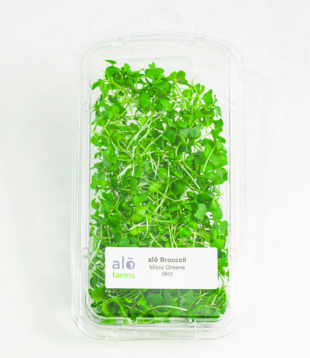 Alo Farms , Organic Broccoli Microgreens, each LOCAL