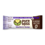 Pure Bliss Blueberry Hemp Bar, 1.7oz.