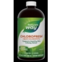 Nature's Way Chlorofresh Liquid Mint, 16oz, - T