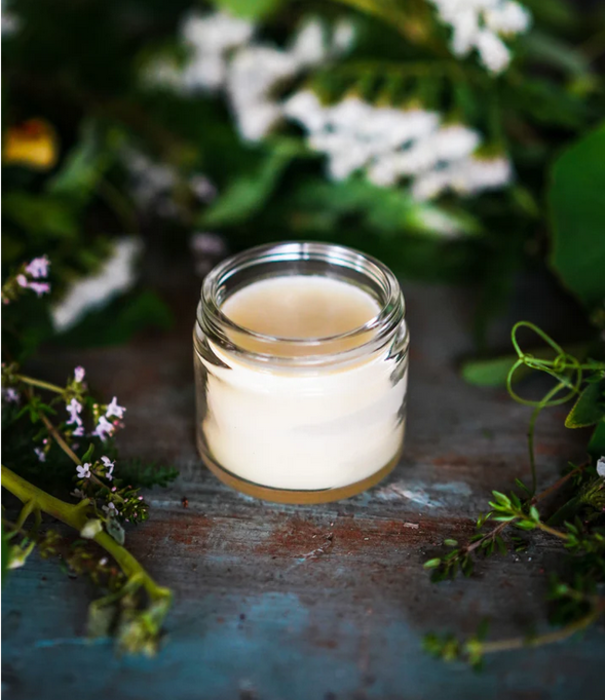 White Oak Pastures Tallow Salve, Lavender