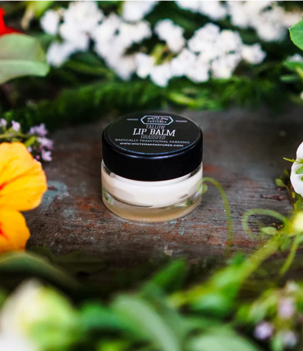 White Oak Pastures Tallow Lip Balm, Glass, Peppermint