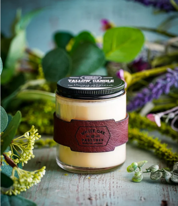 White Oak Pastures Tallow Candle, Fresh Shave