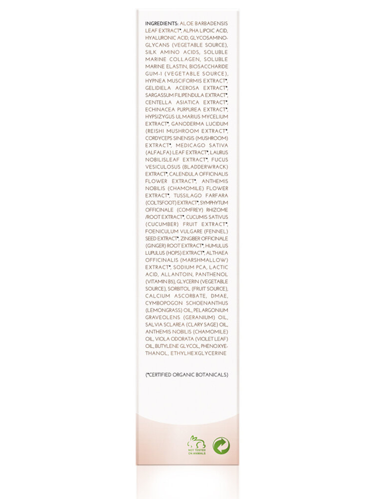 Body Dynamics Mushroom Trilogy Serum, 1oz