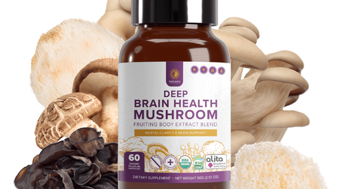 The Silent Crisis: Magnesium Deficiency and Environmental Toxins Impacting Our Brains