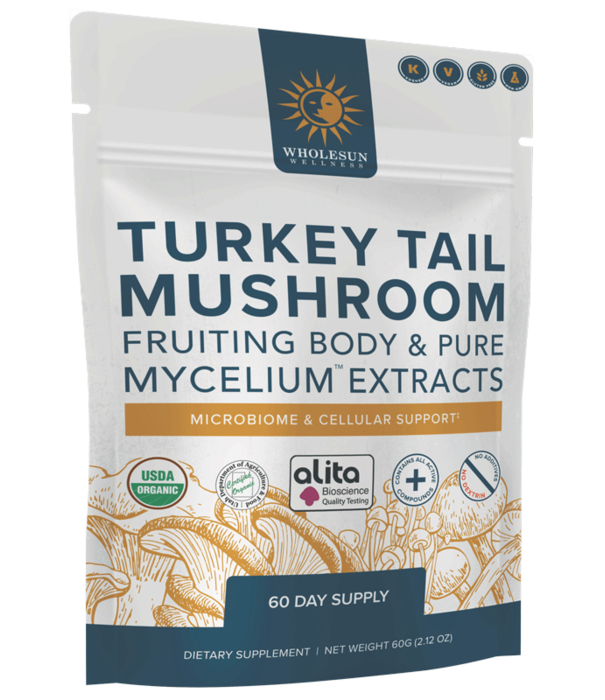 Wholesun Wellness Turkey Tail Powder, 60g