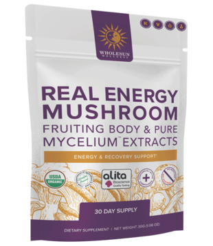 Wholesun Wellness Real Energy Powder, 30g