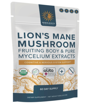 Wholesun Wellness Lion's Mane Powder, 60g