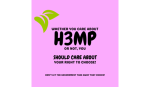 What's Going On With H3mp in 2025?
