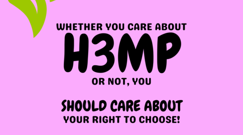 What's Going On With H3mp in 2025?