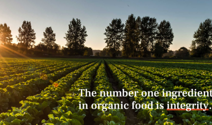 Independence Matters: Why Buying Organic & Local Is a Revolutionary Act