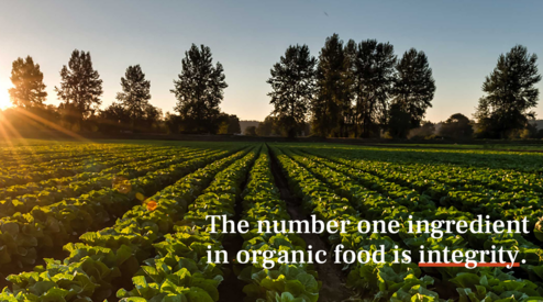 Independence Matters: Why Buying Organic & Local Is a Revolutionary Act