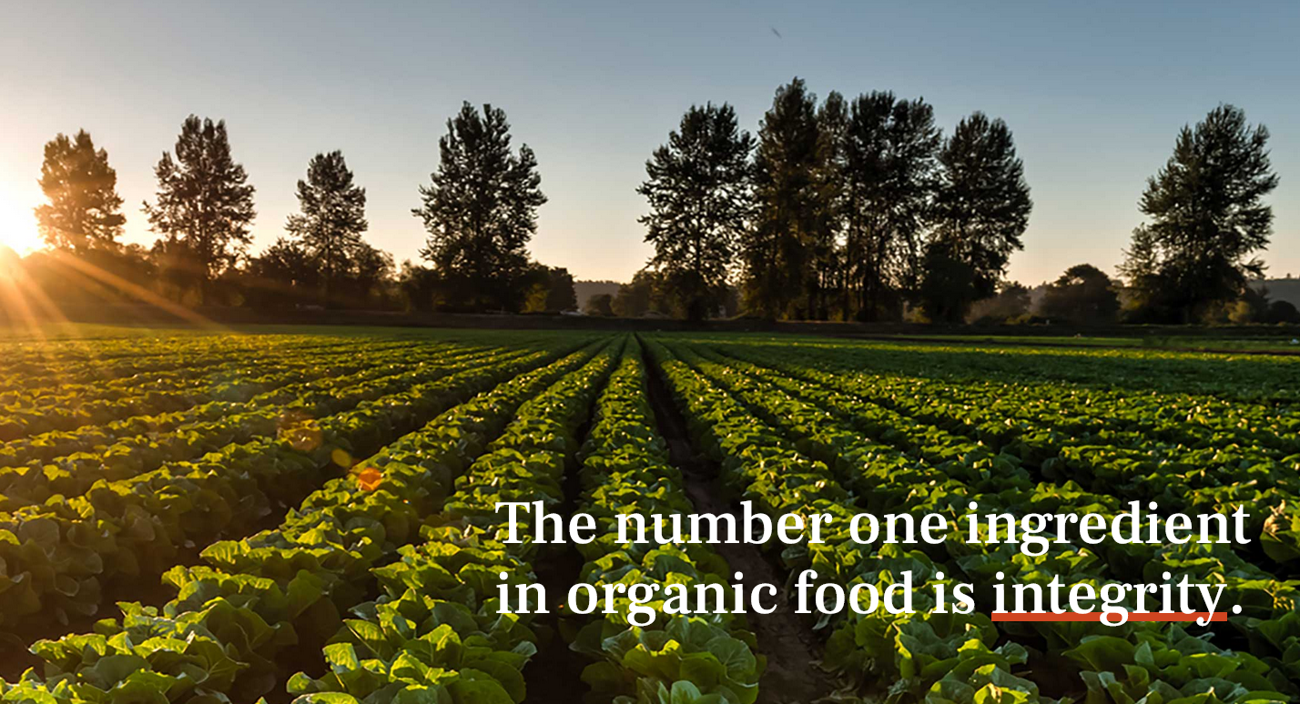 Independence Matters: Why Buying Organic & Local Is a Revolutionary Act