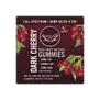Wyld CBD Gummies Dark Cherry, 2mg THC + 20mg CBD + 5mg CBN, 10ct