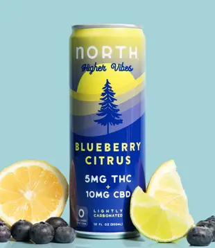 North Higher Vibes 5mg Blueberry Citrus, 12oz, 4pk