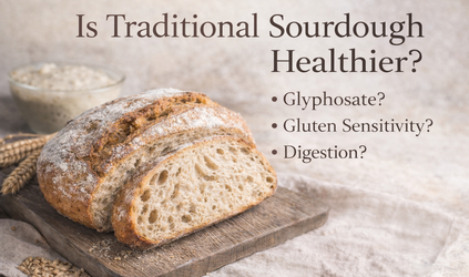 Is Traditional Sourdough Healthier?