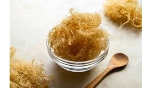 Decoding Sea Moss: How Nuts ’n Berries Evaluates Sourcing, Forms, and Quality