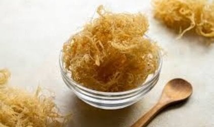 Decoding Sea Moss: How Nuts ’n Berries Evaluates Sourcing, Forms, and Quality