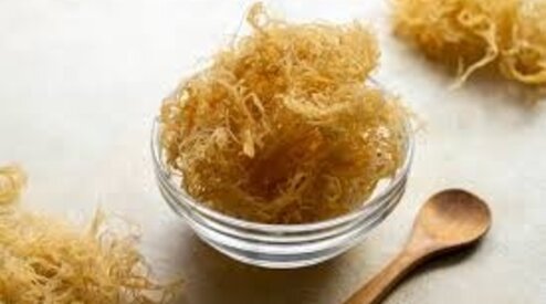 Decoding Sea Moss: How Nuts ’n Berries Evaluates Sourcing, Forms, and Quality