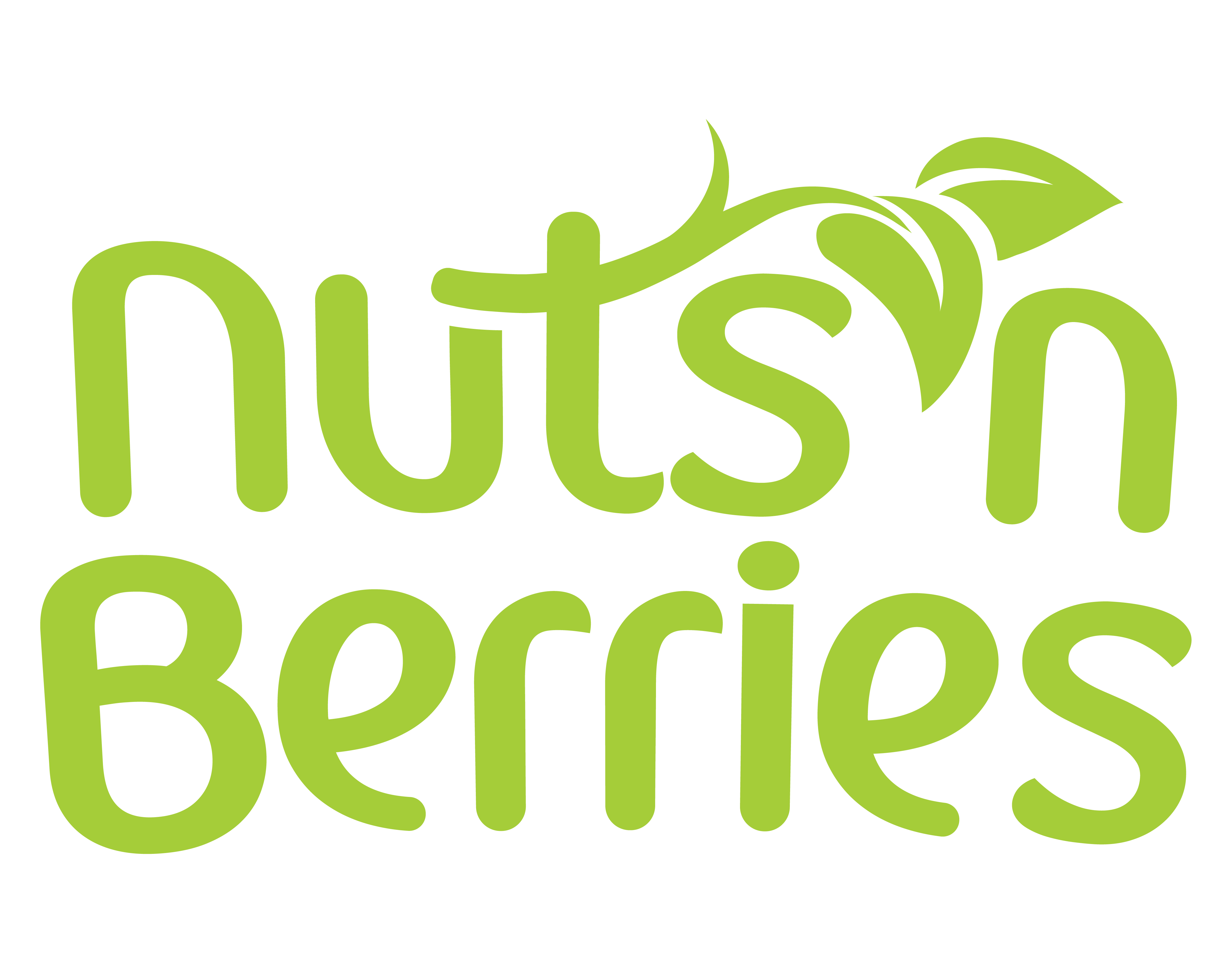Nuts 'n Berries Healthy Market