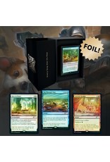 MTG SECRET LAIR - EVERY DOG HAS ITS DAY FOIL EDITION - Apt to Game