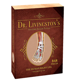 Genius Games DR. LIVINGSTON'S ANATOMY PUZZLE: HUMAN RIGHT LEG