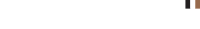 État de choc