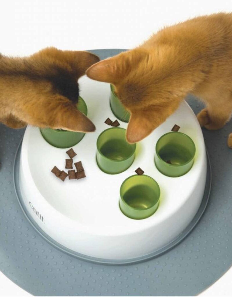 Catit Senses 2 0 Digger Mycattime