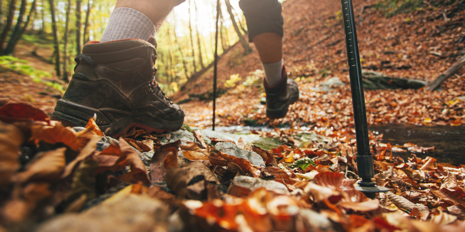 Fall Hiking: Top 6 Hiking Tips for Beginners