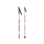 Alpina Alpina ST Snowflake Cross Country Ski Poles