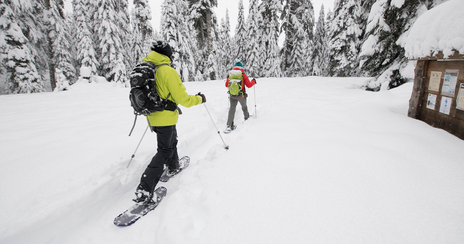 Snowshoeing gear needed