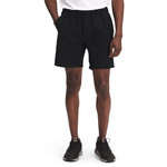 The North Face The North Face Men's Class V Short