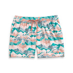 The North Face The North Face Women’s Printed Class V Short